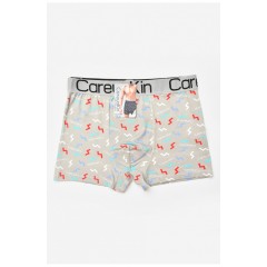 Боксери чоловічі сірого кольору з принтом 205916L