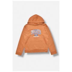 Світшот дитячий для хлопчика на флісі коричневого кольору 205990L