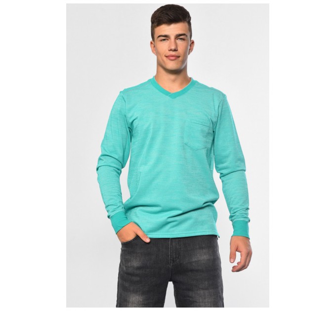 Світшот чоловічий світло-зеленого кольору 182209L