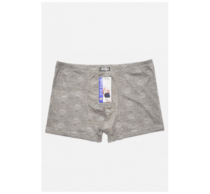 Боксеры мужские полубатальные серого цвета 187299L