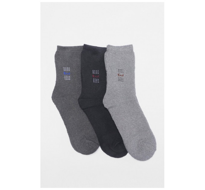 Набір шкарпеток чоловічих махрових 3 штуки 189989L