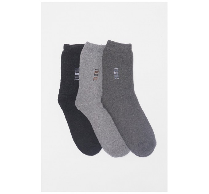 Набір шкарпеток чоловічих махрових 3 штуки 190069L