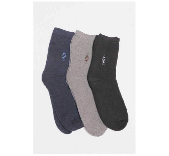 Набор носков мужских махровых 3 штуки 190172L