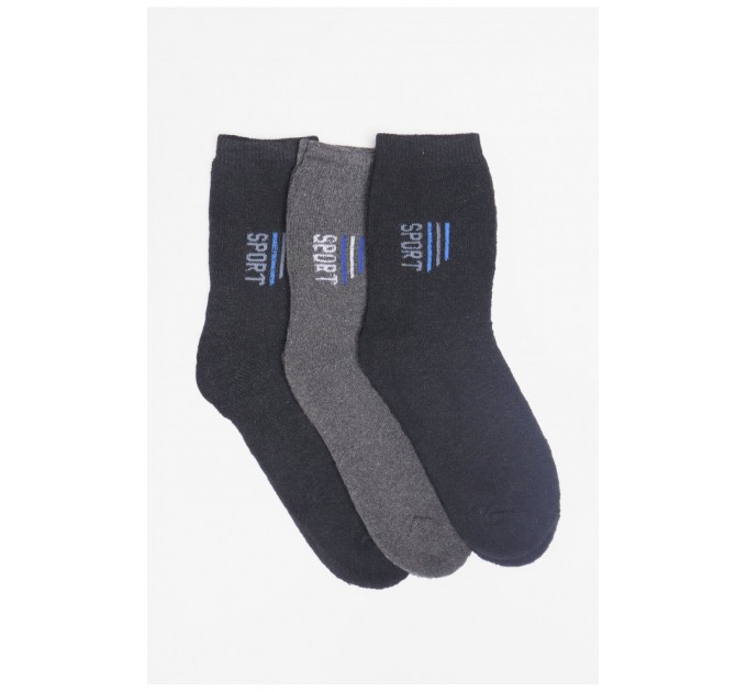 Набор носков мужских махровых 3 штуки 190355L