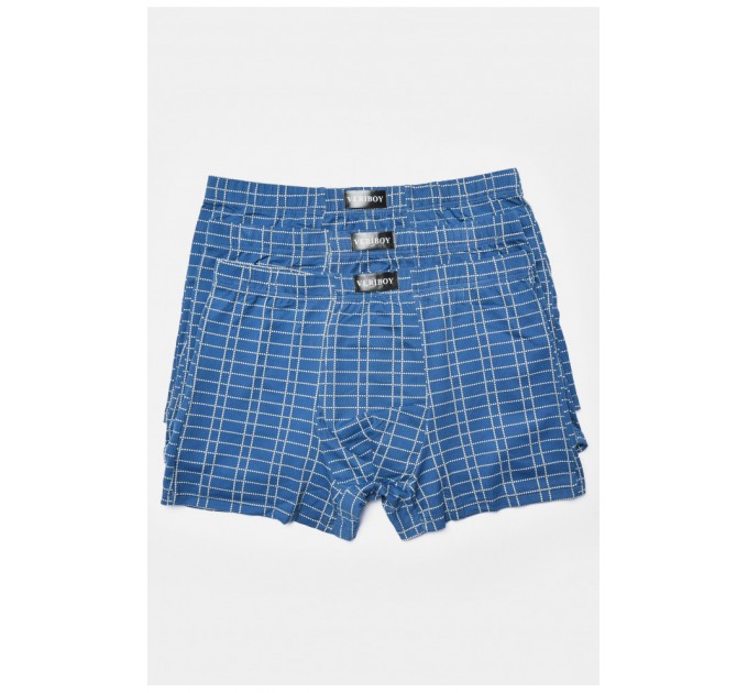 Набір чоловічих боксерів 3 штуки 193926L