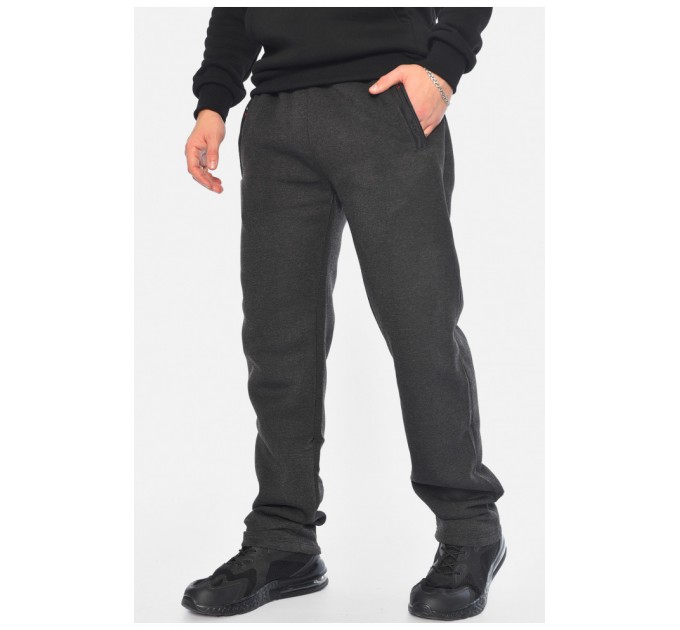 Спортивні штани чоловічі на флісі сірого кольору 196055L