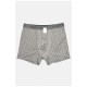 Боксери чоловічі сірого кольору 196480L
