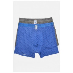 Набір чоловічих боксерів 2 штуки 196524L