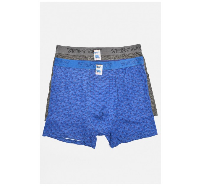 Набор мужских боксеров 2 штуки 196524L