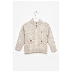 Кофта детская для мальчика бежевого цвета 201722L