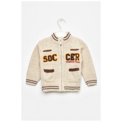 Кофта дитяча для хлопчика бежевого кольору 201736L