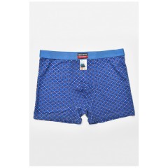 Боксери чоловічі синього кольору 205355L