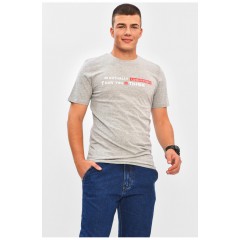 Футболка чоловіча сірого кольору з принтом 206348L