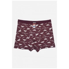 Боксери чоловічі бордового кольору 166207L