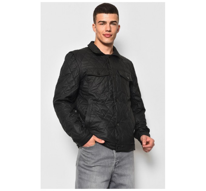 Куртка мужская демисезонная черного цвета 177102L