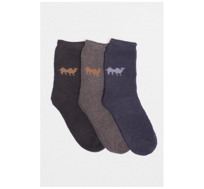 Набір шкарпеток чоловічих махрових 3 штуки 190326L