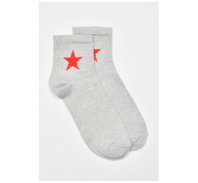 Носки мужские демисезонные серого цвета 192224L