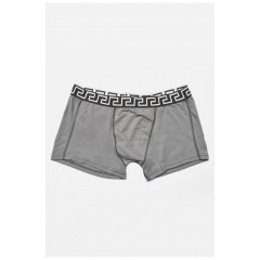 Боксери чоловічі сірого кольору 192605L