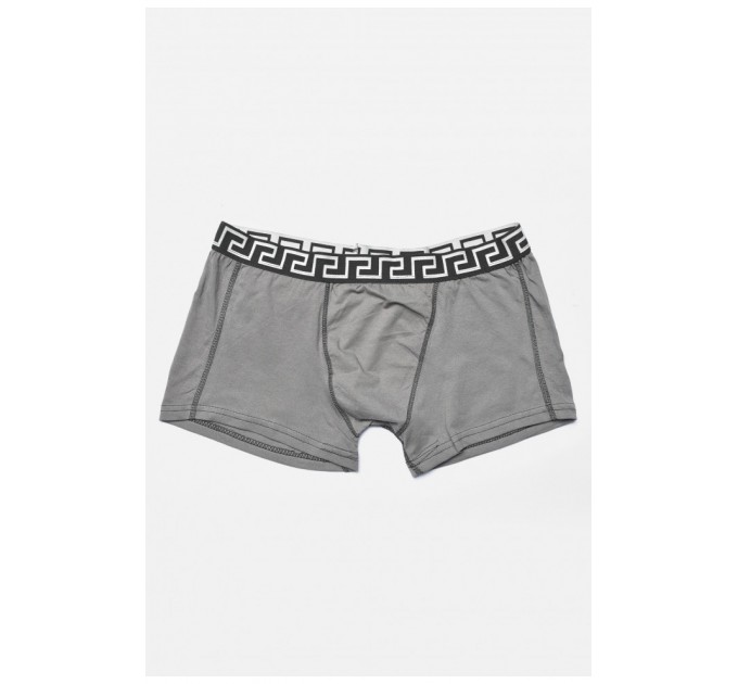 Боксеры мужские серого цвета 192605L