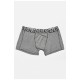 Боксери чоловічі сірого кольору 192605L