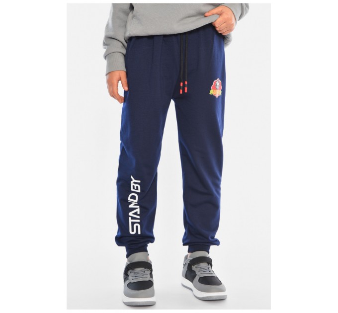 Спортивные детские брюки для мальчика темно-синего цвета 192946L