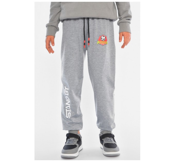 Спортивні штани дитячі для хлопчика сірого кольору 192950L