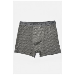 Боксери чоловічі сірого кольору 193921L