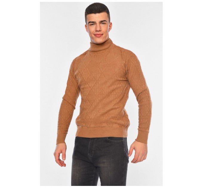Светр чоловічий однотонний темно-бежевого кольору 194510L