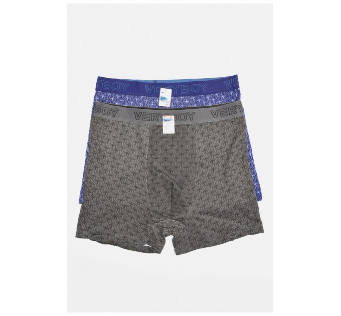 Набор мужских боксеров 2 штуки 196525L