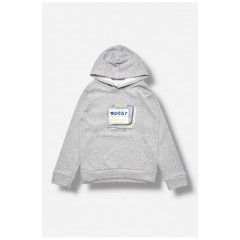 Світшот дитячий для хлопчика на флісі сірого кольору 205986L