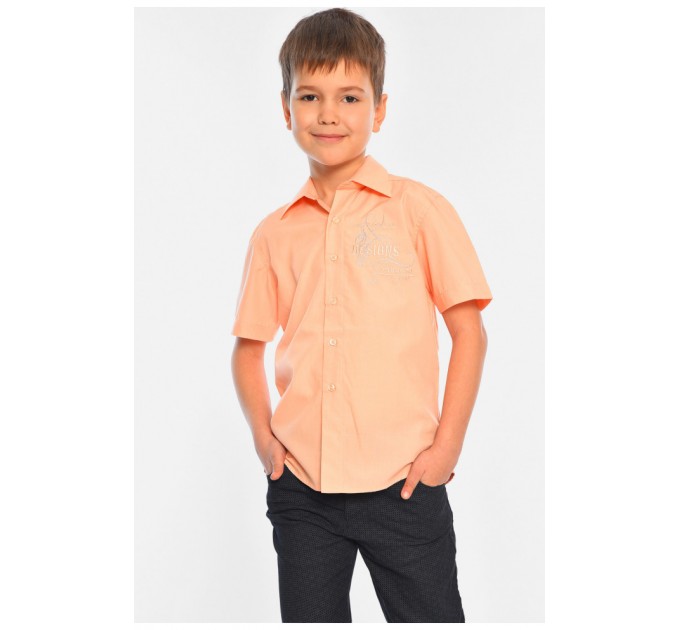 Сорочка дитяча хлопчик персикова 151221L