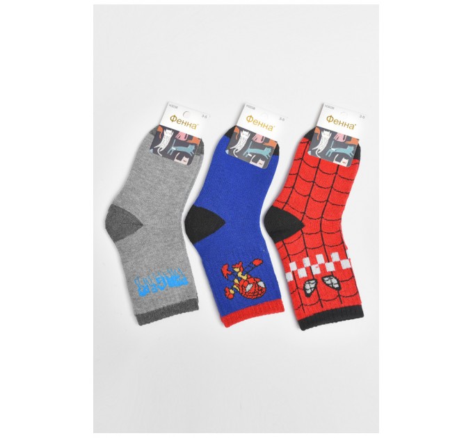 Набір дитячих шкарпеток махрових для хлопчика 3 штуки 189465L