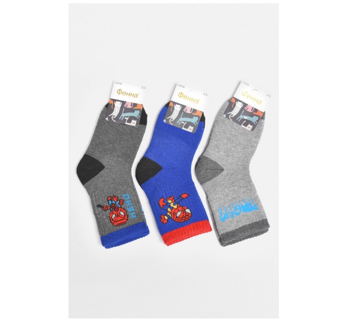 Набір дитячих шкарпеток махрових для хлопчика 3 штуки 189467L