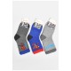 Набір дитячих шкарпеток махрових для хлопчика 3 штуки 189467L