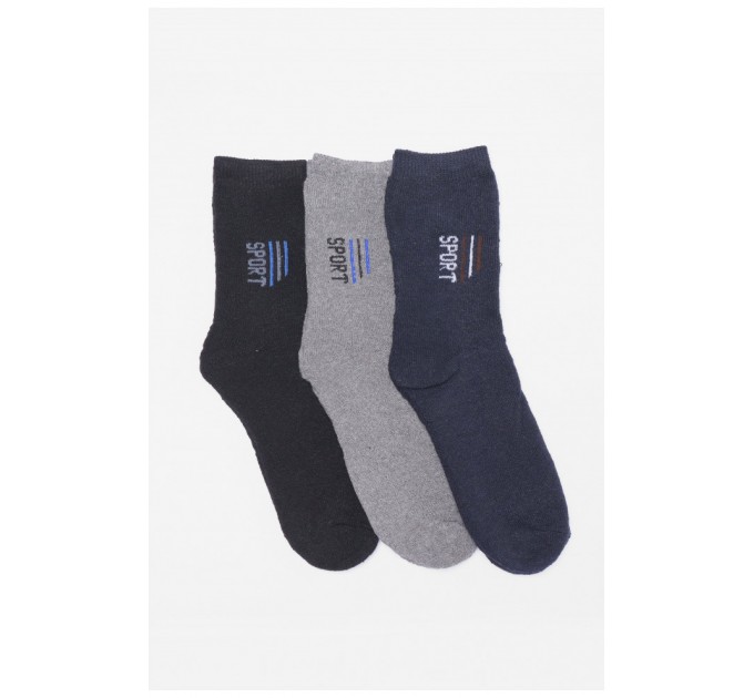 Набір шкарпеток чоловічих махрових 3 штуки 190356L