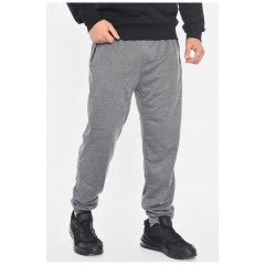 Спортивні штани чоловічі сірого кольору 191902L
