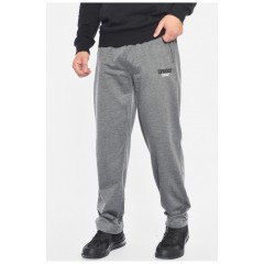 Спортивні штани чоловічі сірого кольору 191958L