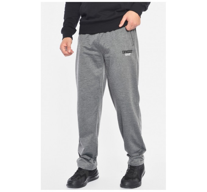 Спортивні штани чоловічі сірого кольору 191958L