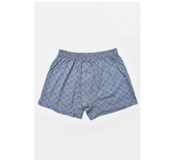 Труси сімейні чоловічі сірого кольору 193167L