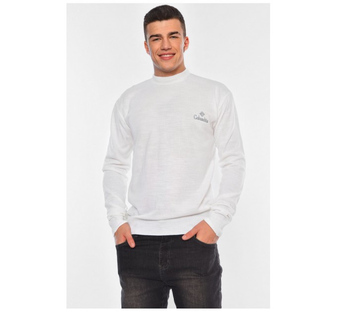 Светр чоловічий однотонний білого кольору 194516L
