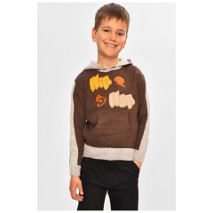 Светр дитячий для хлопчика коричневого кольору 201574L