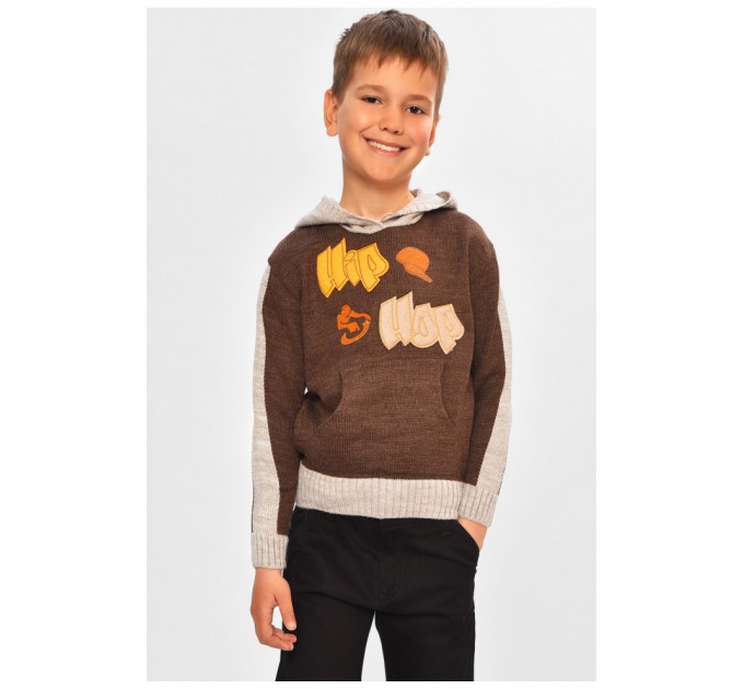 Светр дитячий для хлопчика коричневого кольору 201574L