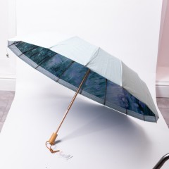 Парасоля механічна складна 99 см з квітковим принтом, блакитний