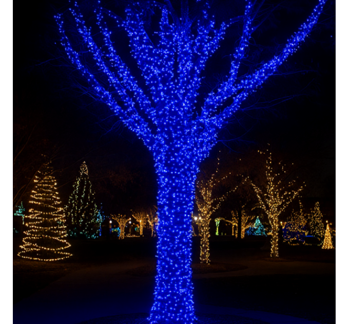 Гірлянда Нитка вулична 1000 LED 100 м біла, синій