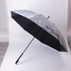 Парасоля тростина напівавтомат складна 99 см з квітковим принтом, блакитний