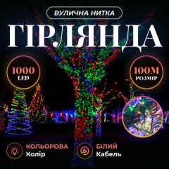 Гірлянда Нитка вулична 1000 LED 100 м біла, мультиколор