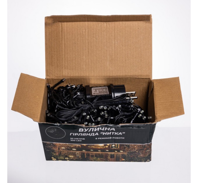 Гірлянда Нитка вулична 300 LED 30 м від мережі чорна нитка, білий