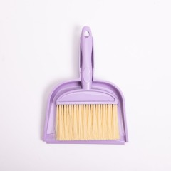 Набір для прибирання щітка і совок, бузковий