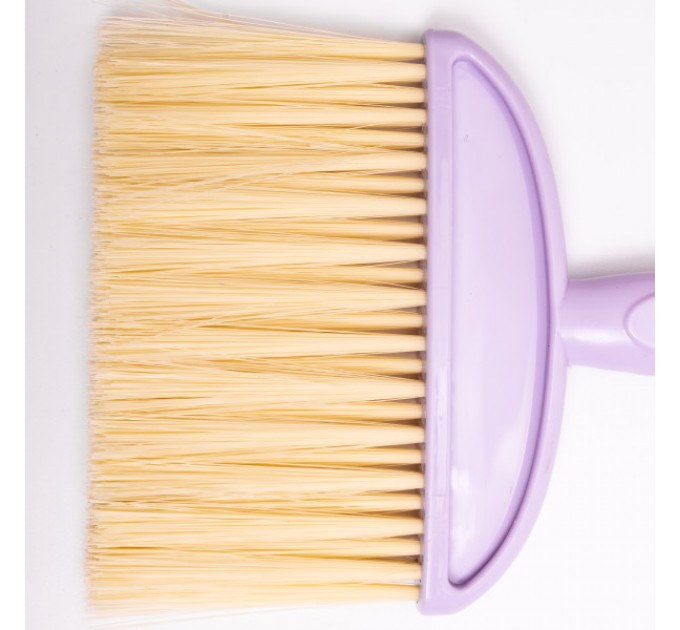 Набір для прибирання щітка і совок, бузковий