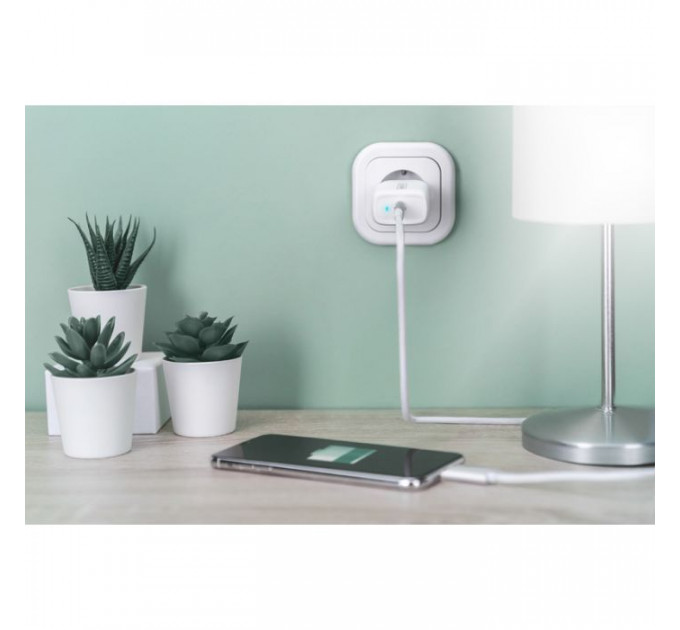 Зарядний пристрій Digitus Universal USB-C (DA-10196)